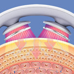Masajeador Cervical - CerviPulse